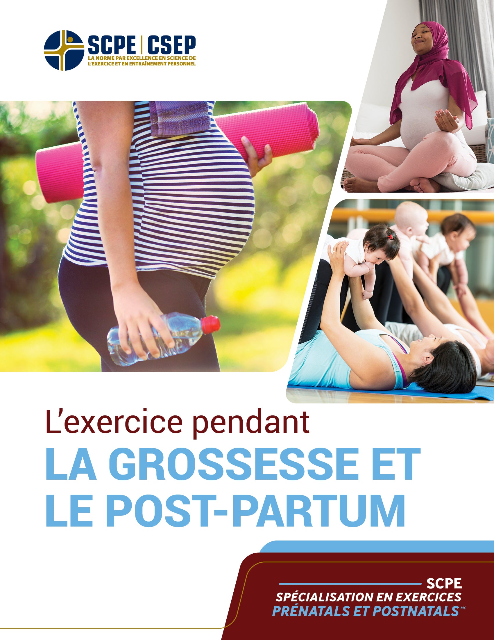 Manual - Exercise During the Pregnancy and the Postpartum Period – CSEP  Store