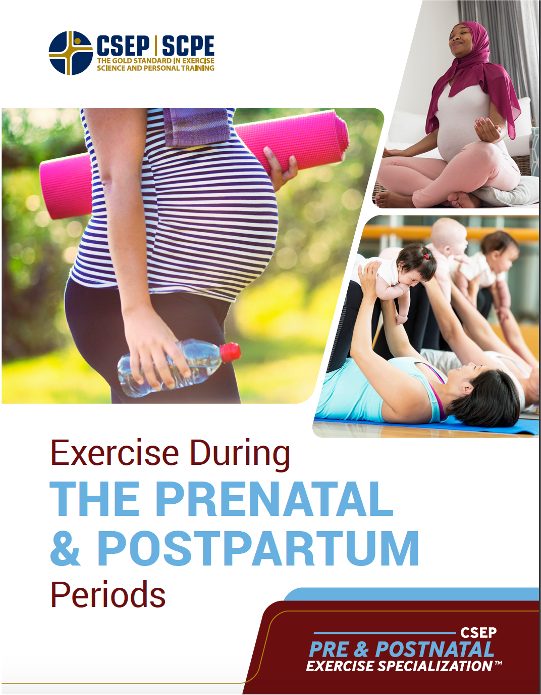 Manuel - L'exercice pendant la grossesse et le post-partum